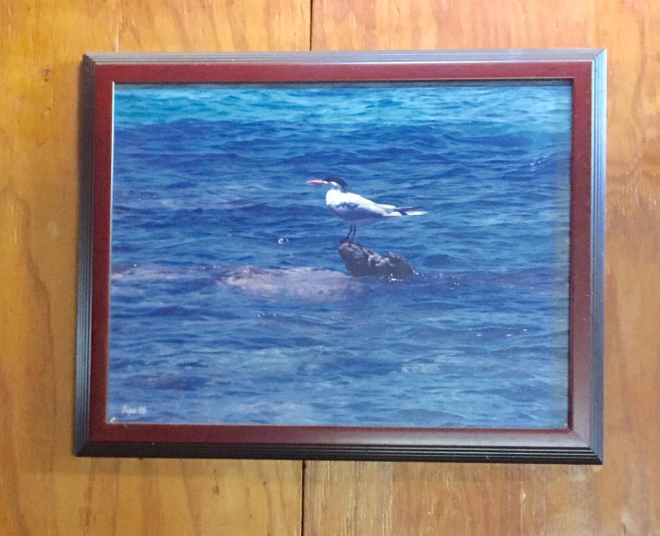 Dancing Tortugas Hotel Aguadilla Exterior photo